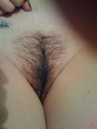 hairy pussy.JPG