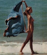 Cheryl Tiegs n s beach 2301 great.jpg