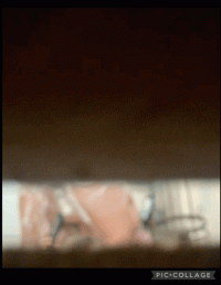 80D14D63-1964-44AE-8A47-D5BD63C36941.gif