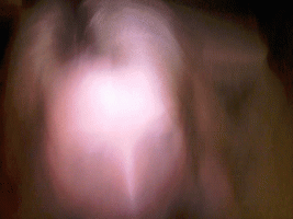 lillann facial 01.gif