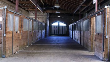 barn18horsestalls.jpg