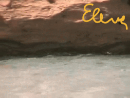 20200808_154811.gif