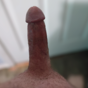 Mr HD Hard Cock 1