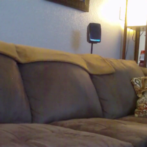 getting head on the couch.mp4